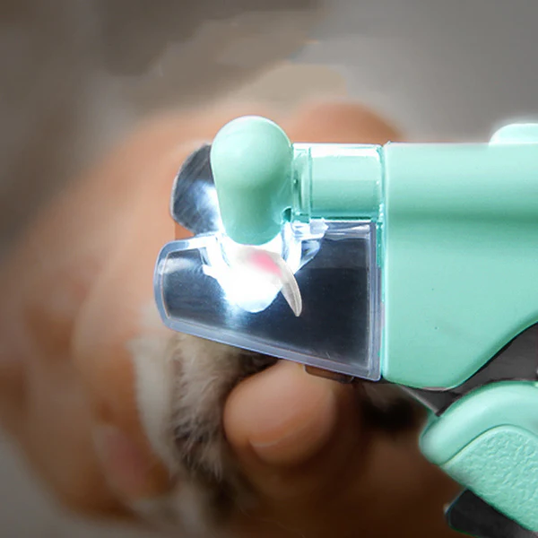 Coupe griffe Chat à LED Catgrip